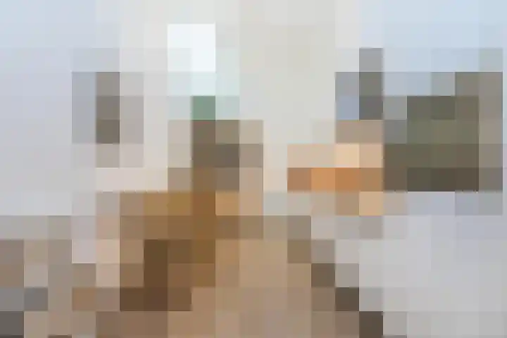 Kapelstraat 81 Rotterdam thumbnail 18