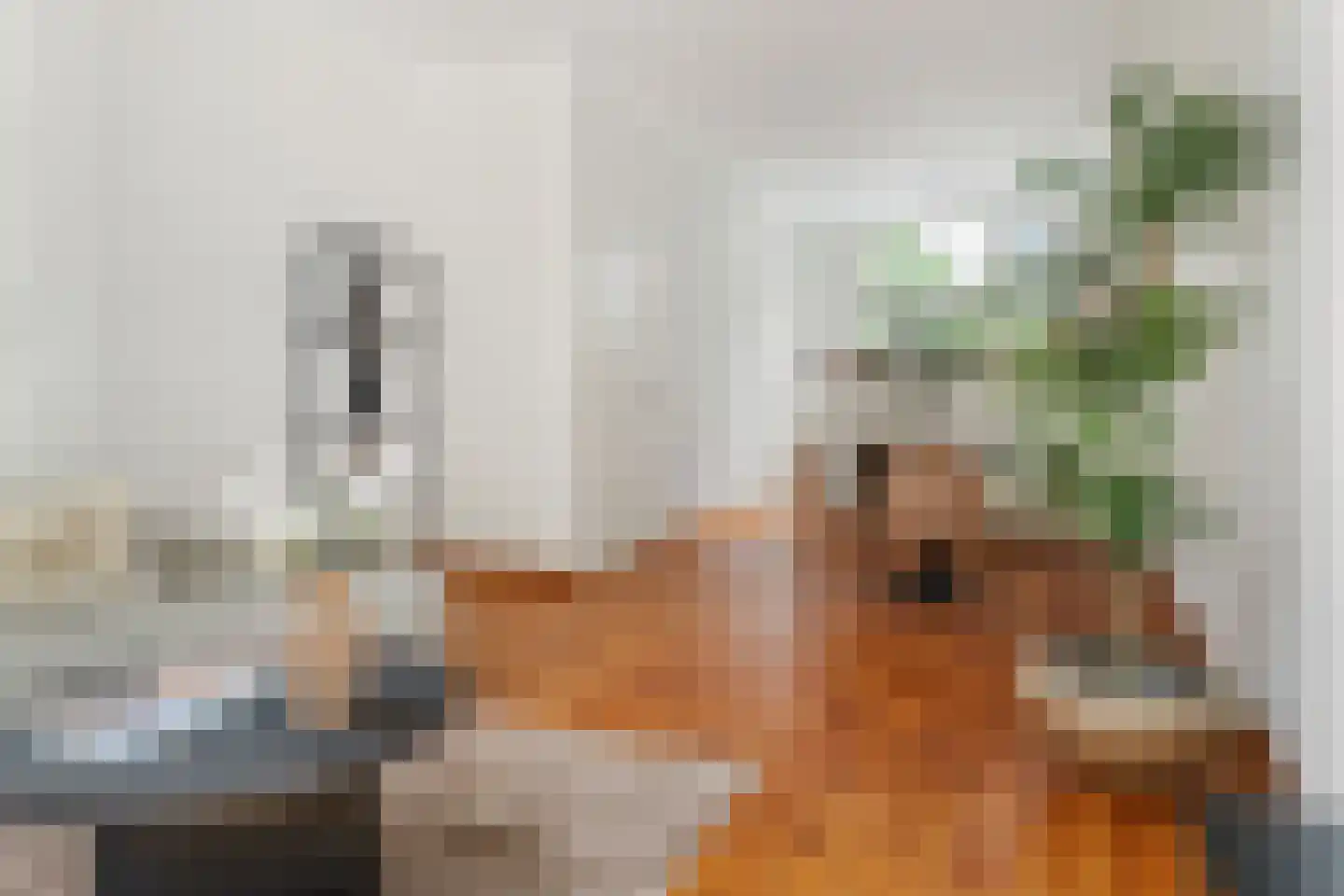 Kapelstraat 81 Utrecht thumbnail 12