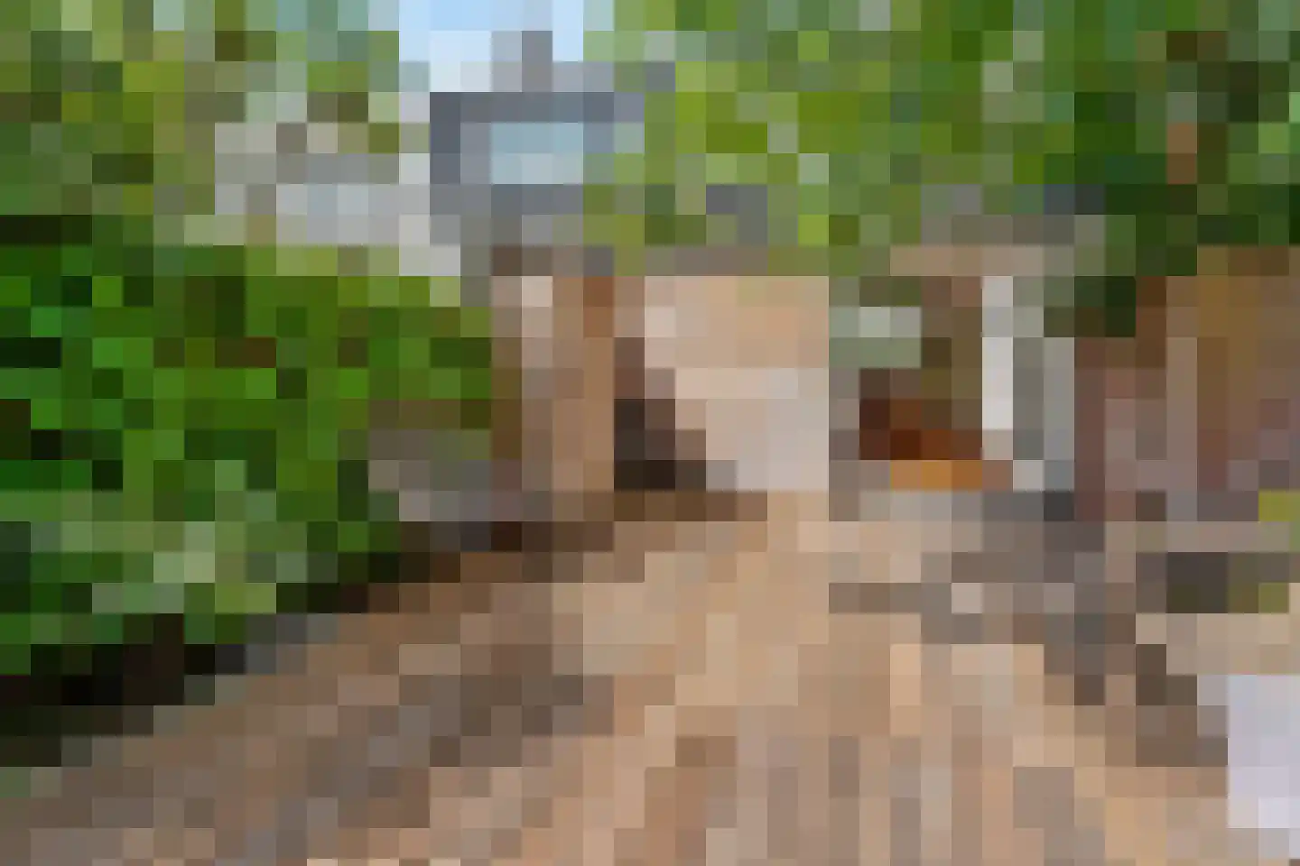 Kapelstraat 81 Utrecht thumbnail 28