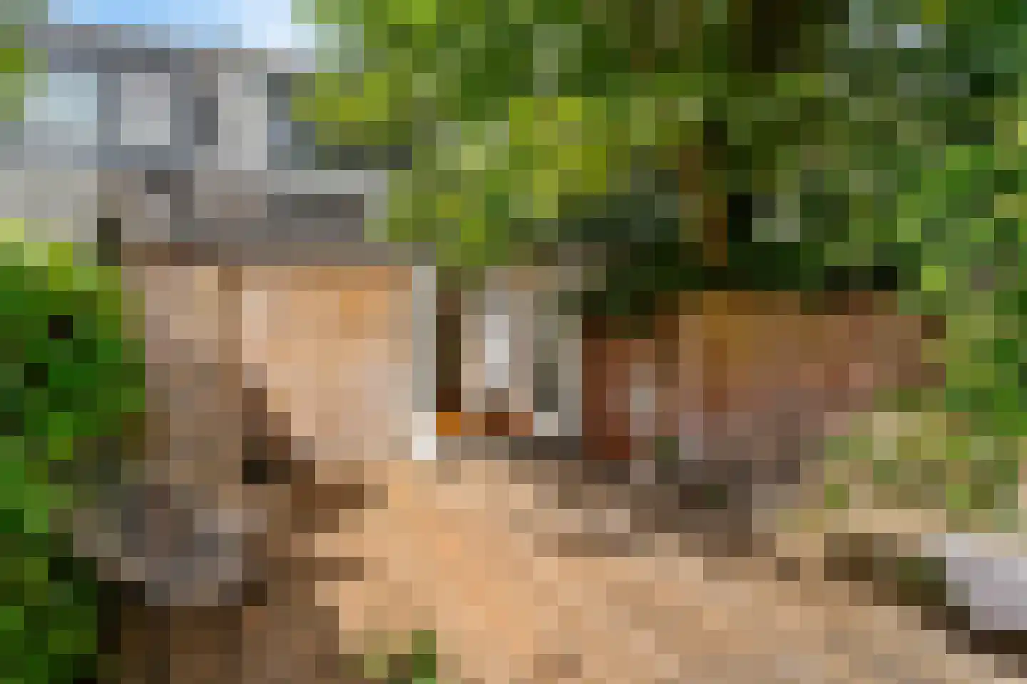 Kapelstraat 81 Utrecht thumbnail 29