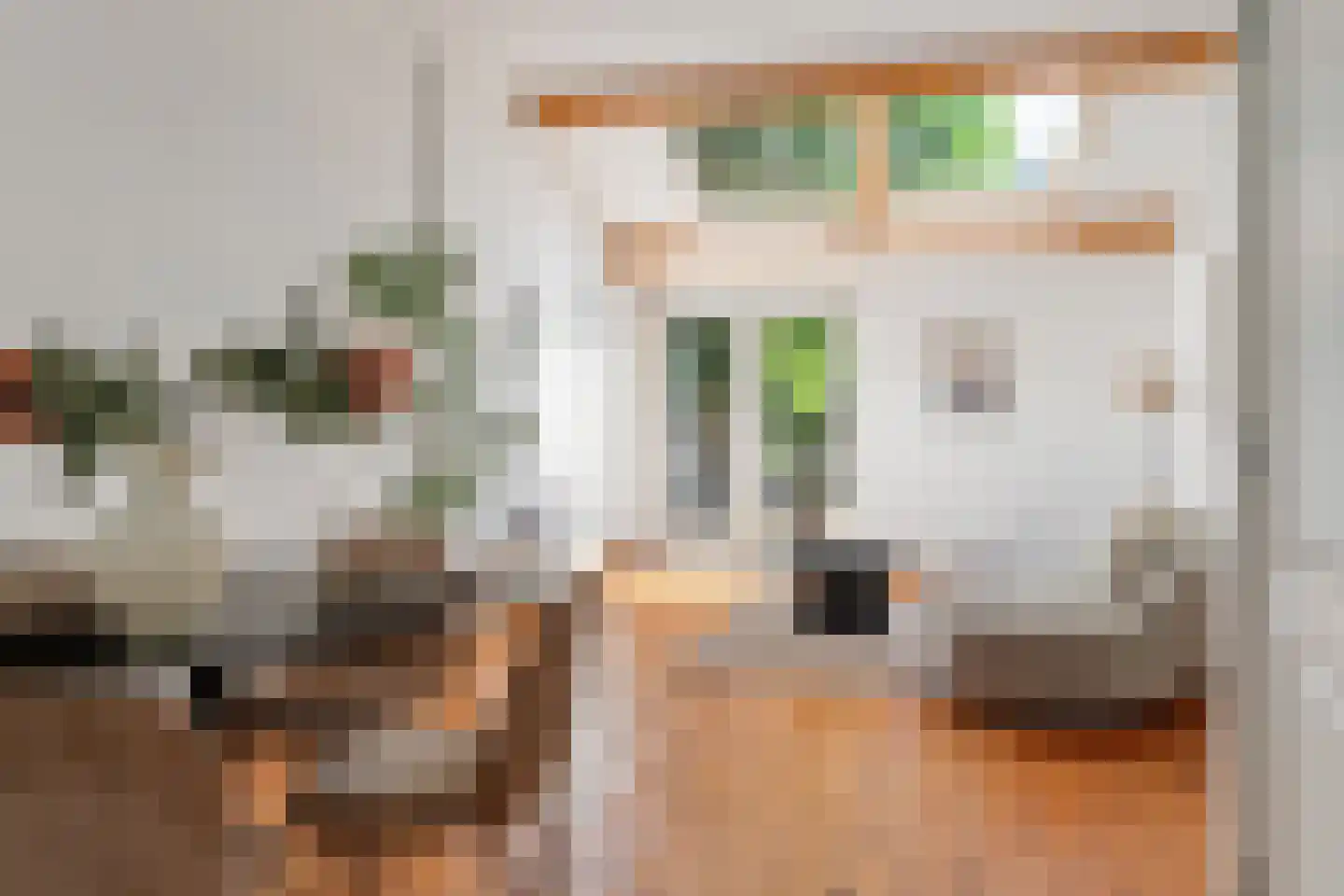 Kapelstraat 81 Utrecht thumbnail 9
