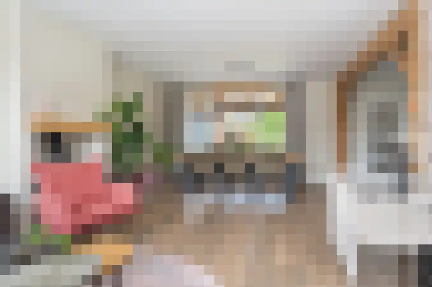 Kapelstraat 81 Veghel thumbnail 10