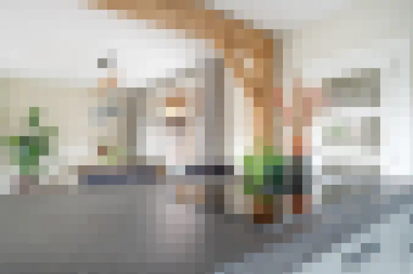 Kapelstraat 81 Veghel thumbnail 14