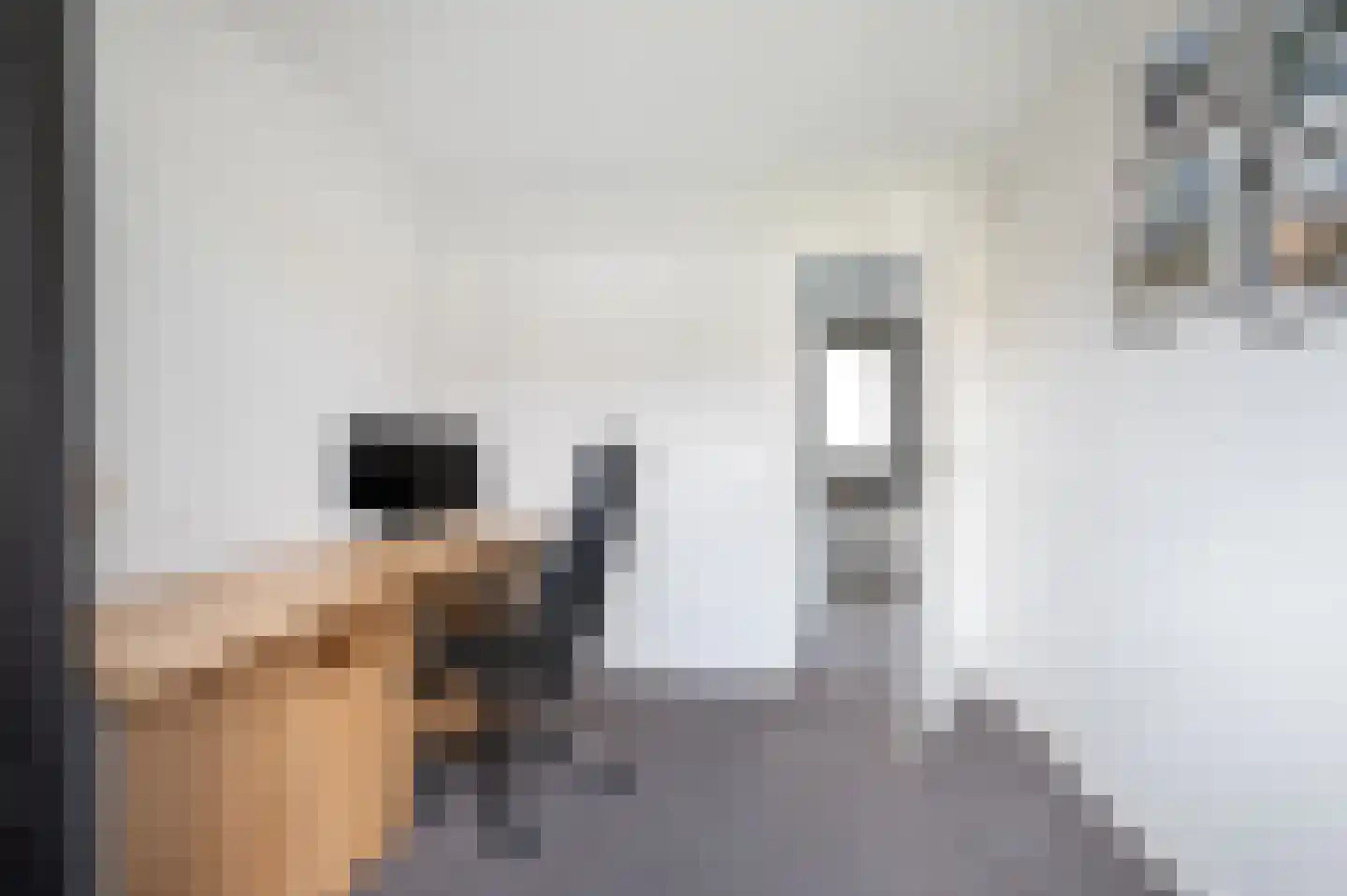 Kapelstraat 81 Veghel thumbnail 33