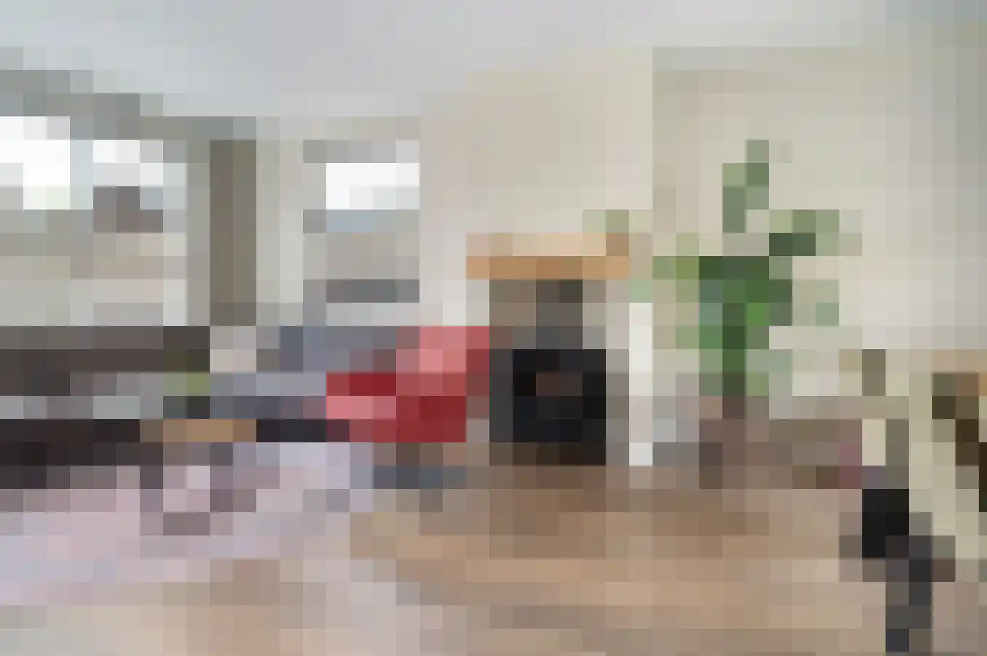 Kapelstraat 81 Veghel thumbnail 9