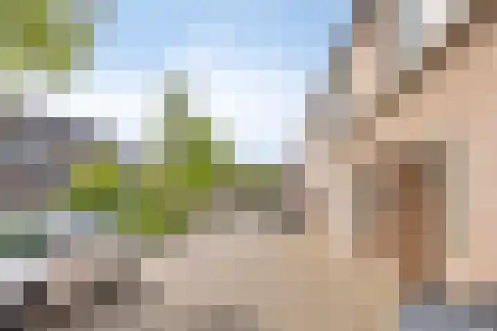Kapelstraat 87 Uden thumbnail 20