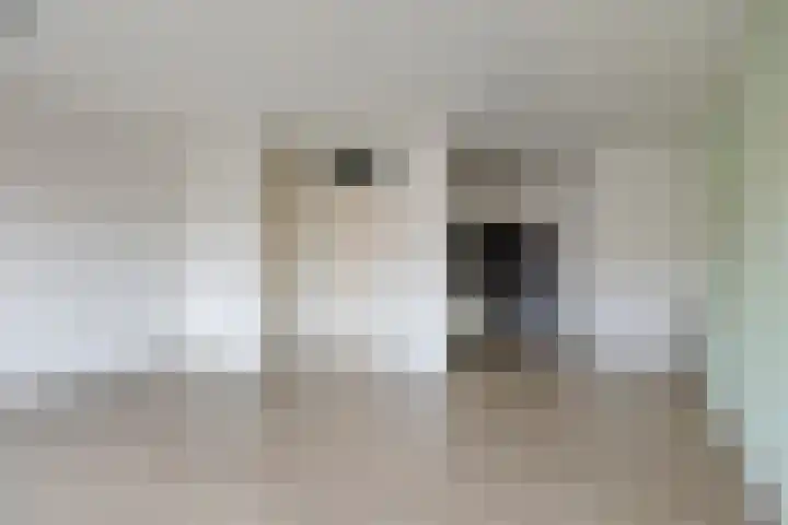 Kapelstraat 87 Uden thumbnail 9