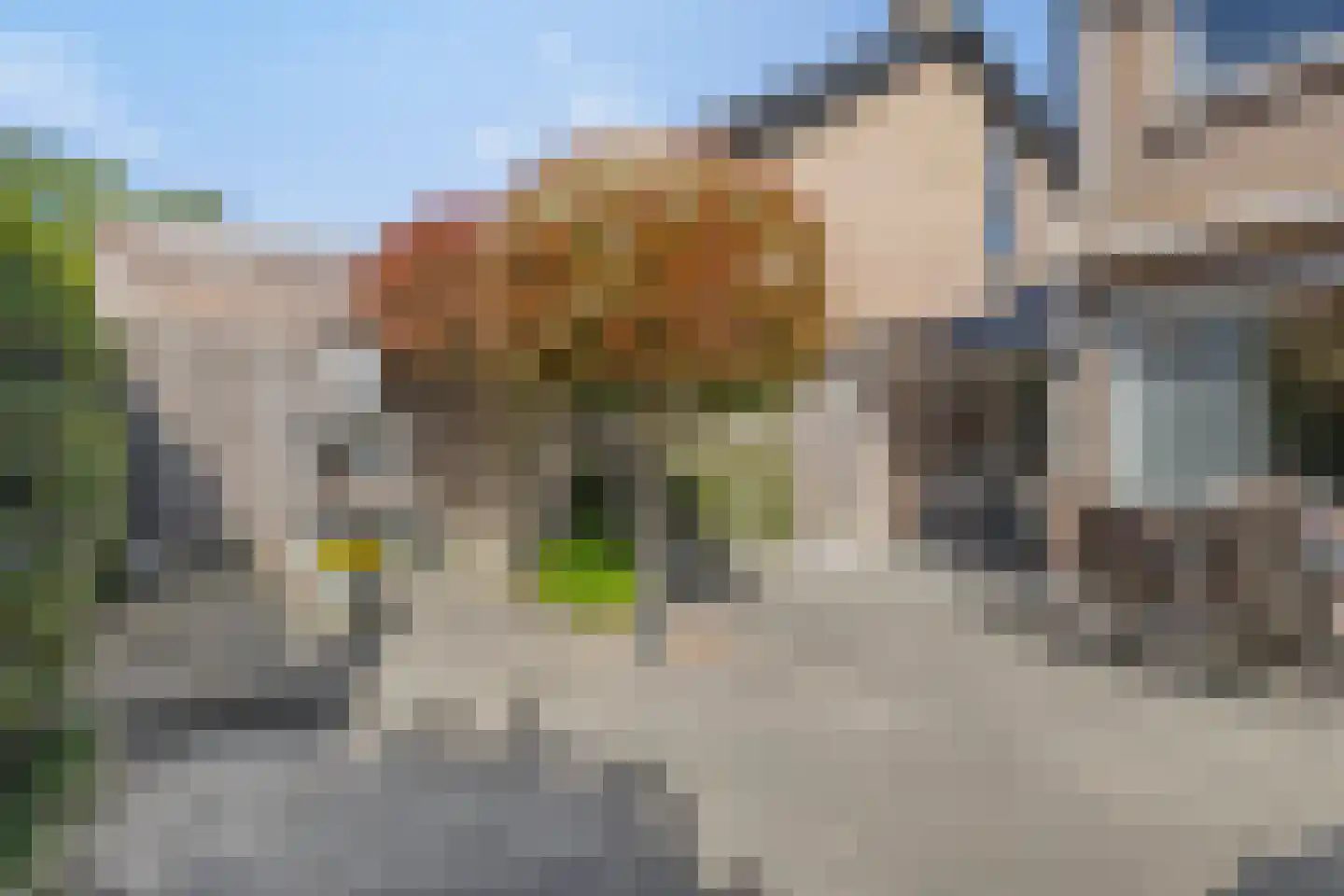 Kapelstraat 89 Prinsenbeek thumbnail 4