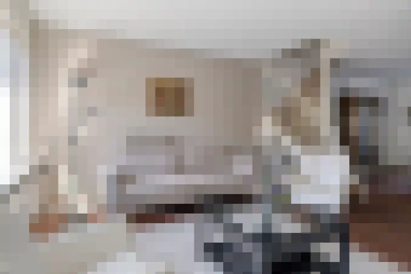 Kapelstraat 89 Prinsenbeek thumbnail 8