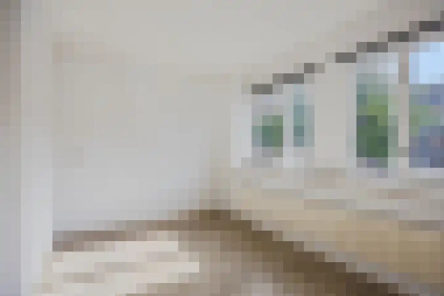 Kapelstraat 89 Uden thumbnail 12