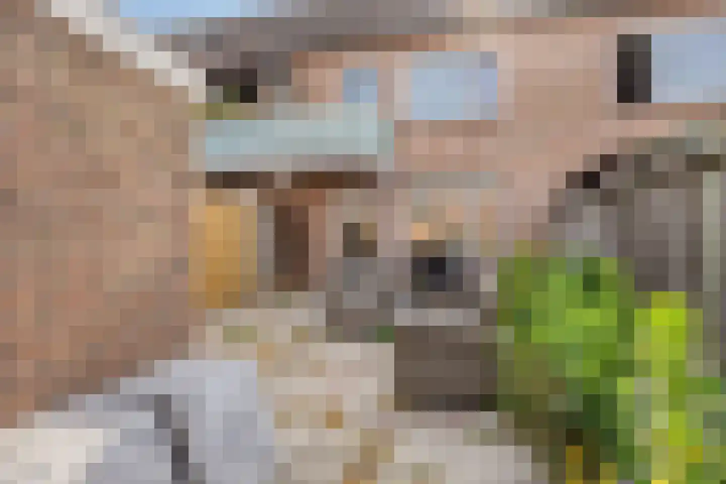 Kapelstraat 89 Uden thumbnail 20