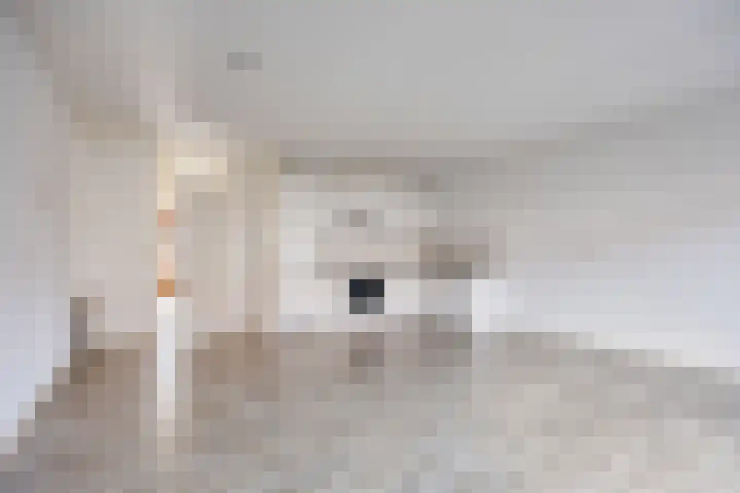 Kapelstraat 89 Uden thumbnail 7