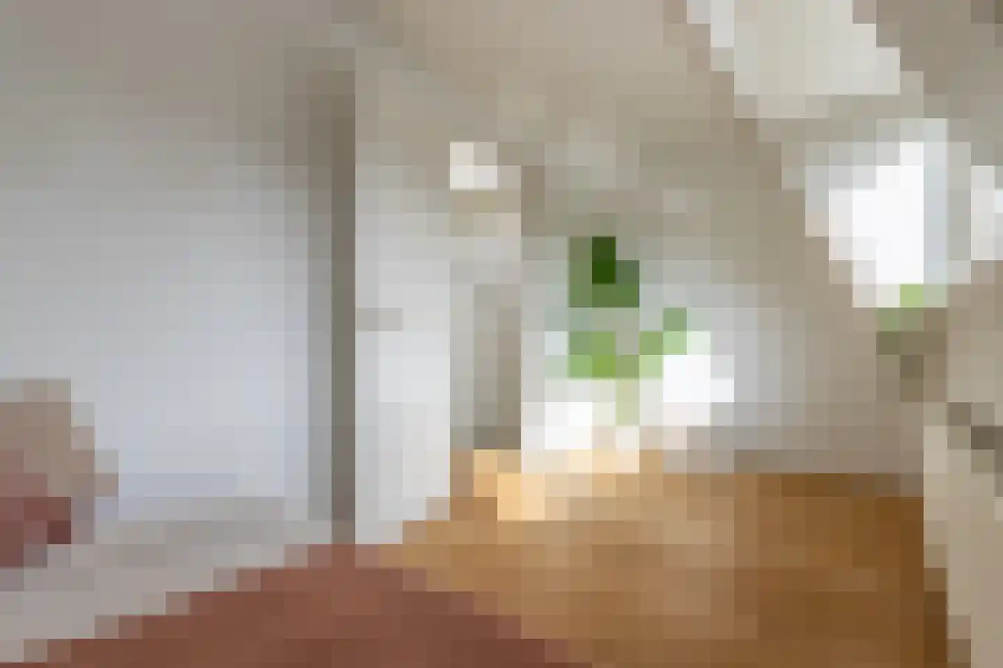 Kapelstraat 89 Utrecht thumbnail 31