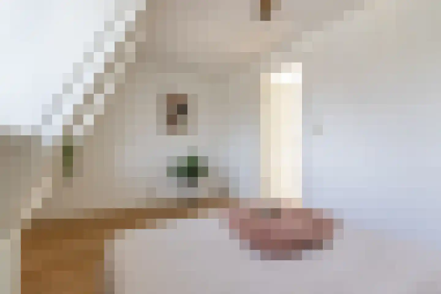 Kapelstraat 89 Utrecht thumbnail 33