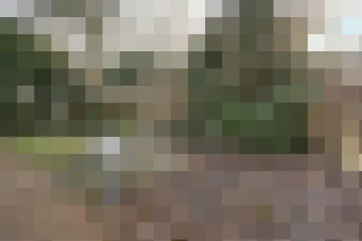 Kapelstraat 9 Zegge thumbnail 33