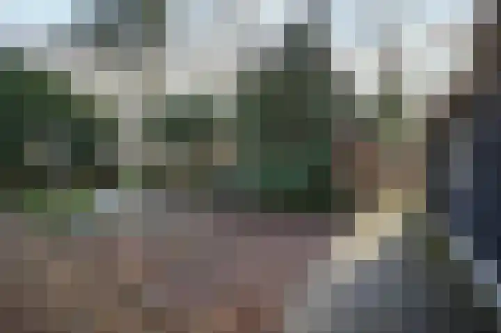 Kapelstraat 9 Zegge thumbnail 35