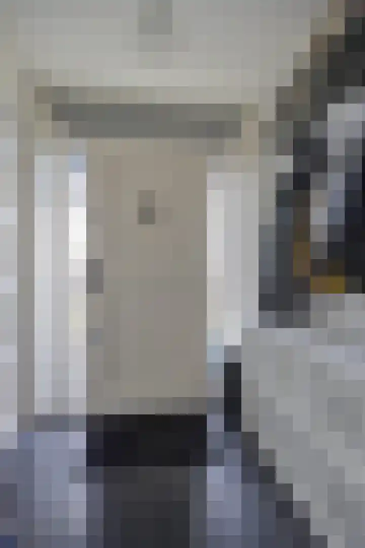 Kapelstraat 9 Zegge thumbnail 6
