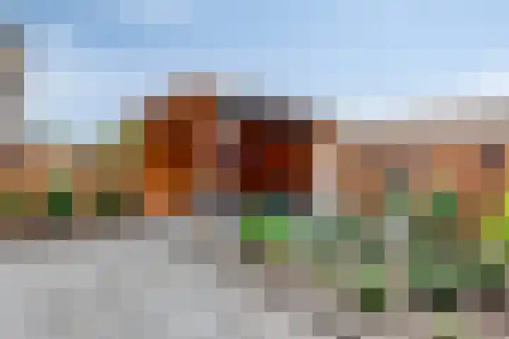 Kapelstraat 91 Prinsenbeek thumbnail 23