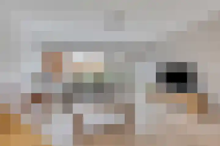 Kapelstraat 91 Prinsenbeek thumbnail 8