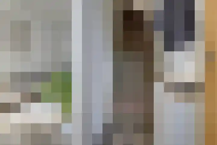 Kapelstraat 94 Utrecht thumbnail 18