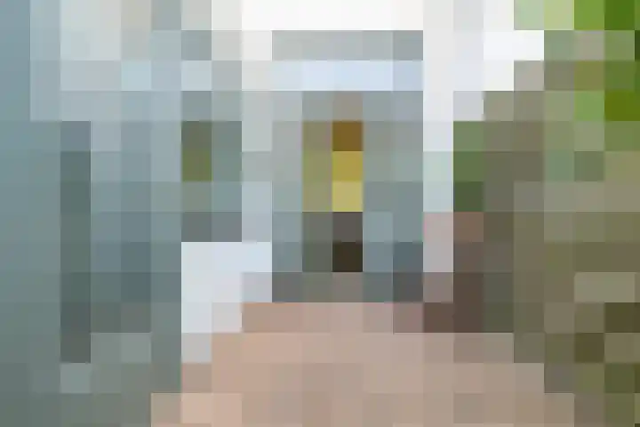Kapelstraat 94 Utrecht thumbnail 30