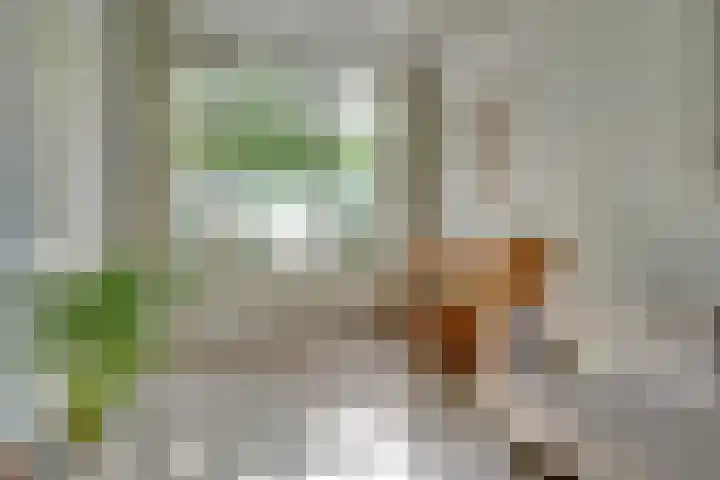 Kapelstraat 94 Utrecht thumbnail 7