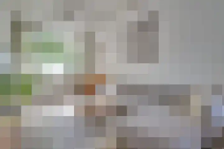 Kapelstraat 94 Utrecht thumbnail 8