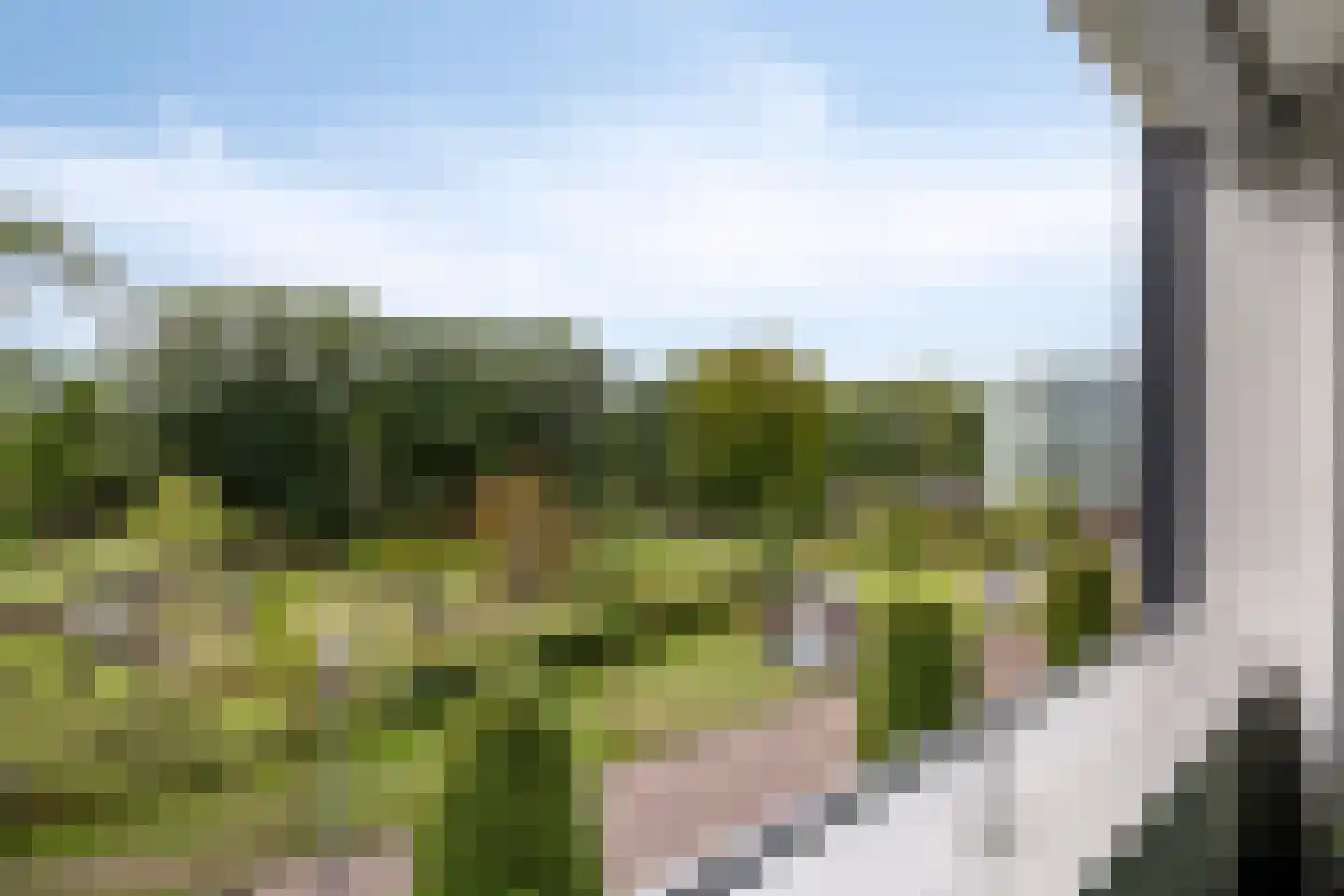 Kapelstraat 99 Emmen thumbnail 12