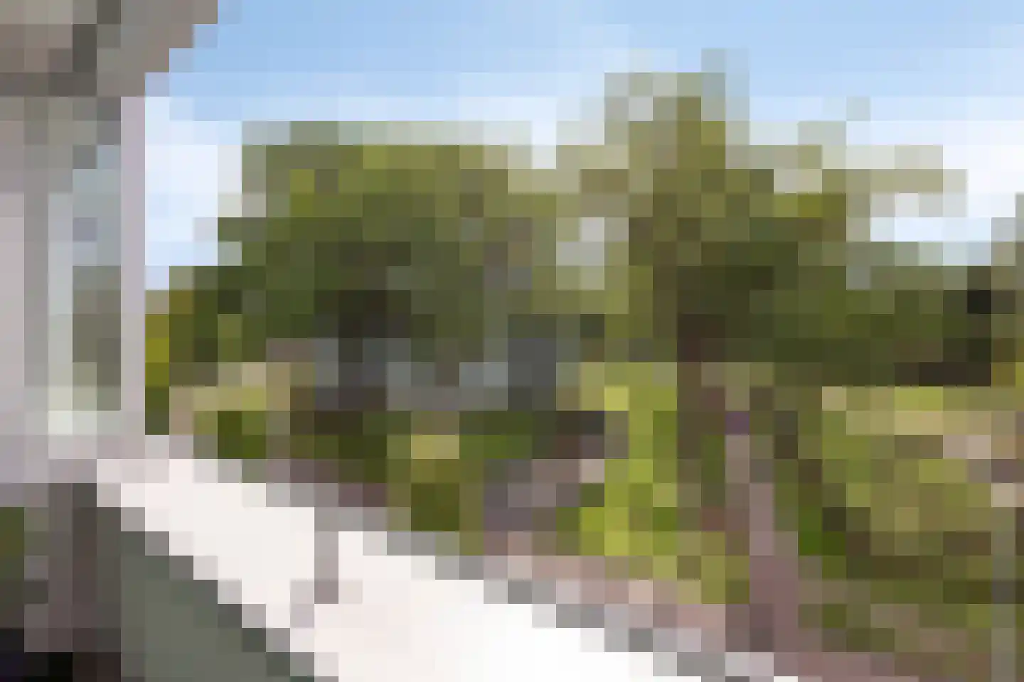 Kapelstraat 99 Emmen thumbnail 13