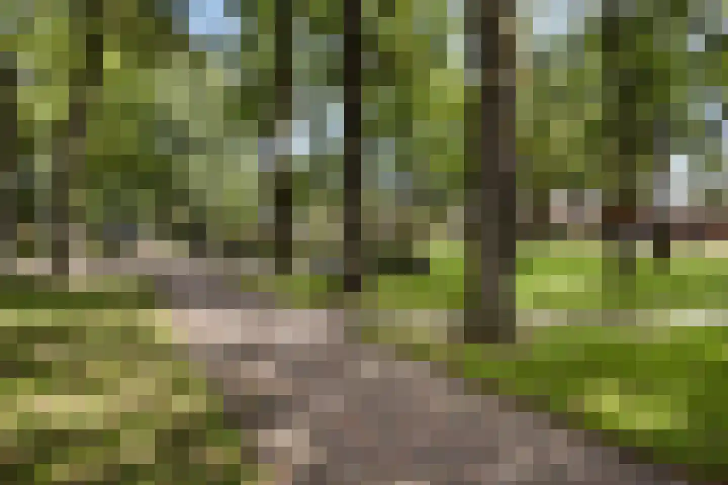 Kapelstraat 99 Emmen thumbnail 38