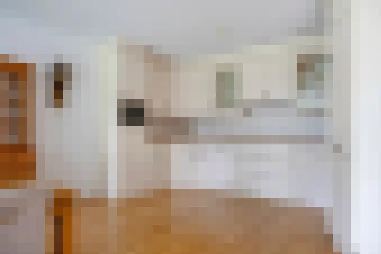 Kapelstraat 99 Emmen thumbnail 8