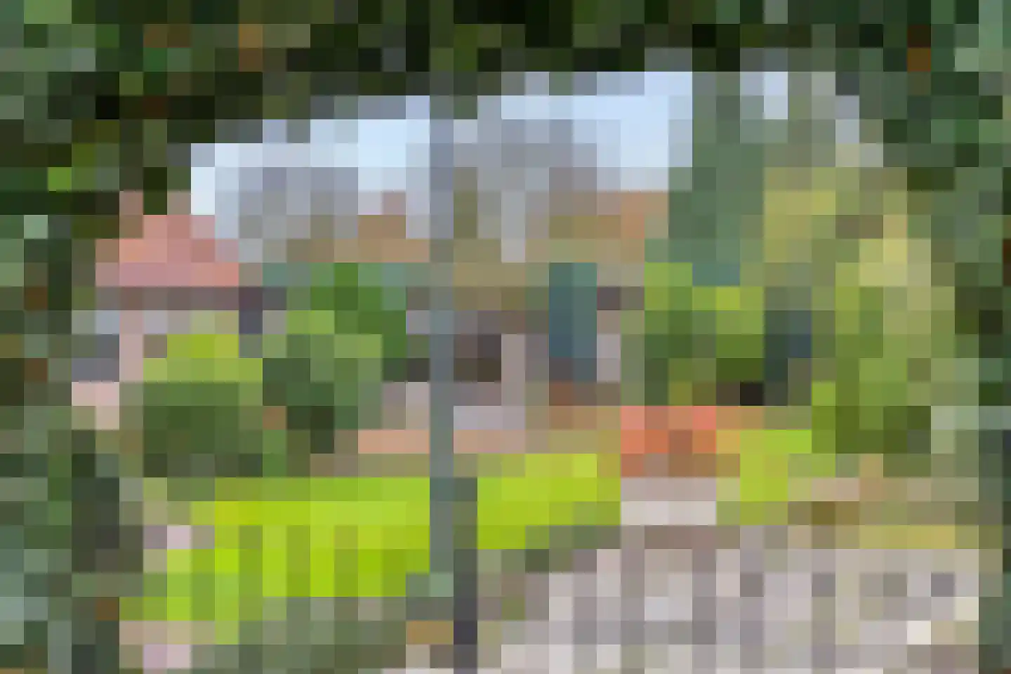 Kapelstraat-Noord 113 Veldhoven thumbnail 4