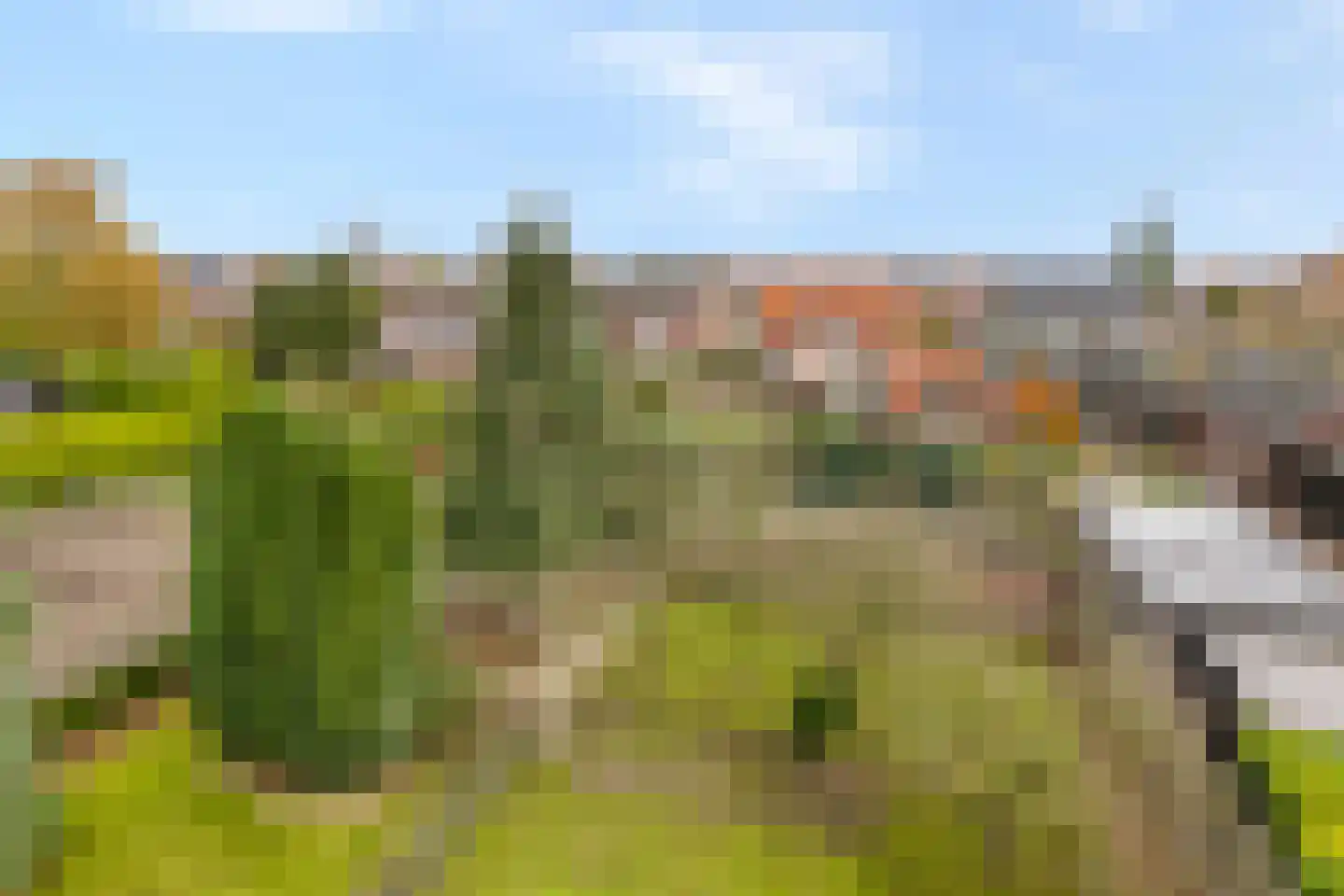 Kapelstraat-Noord 113 Veldhoven thumbnail 5