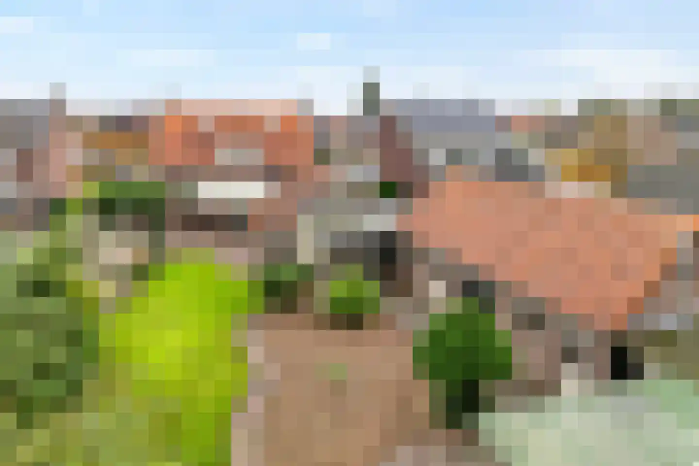 Kapelstraat-Noord 113 Veldhoven thumbnail 56