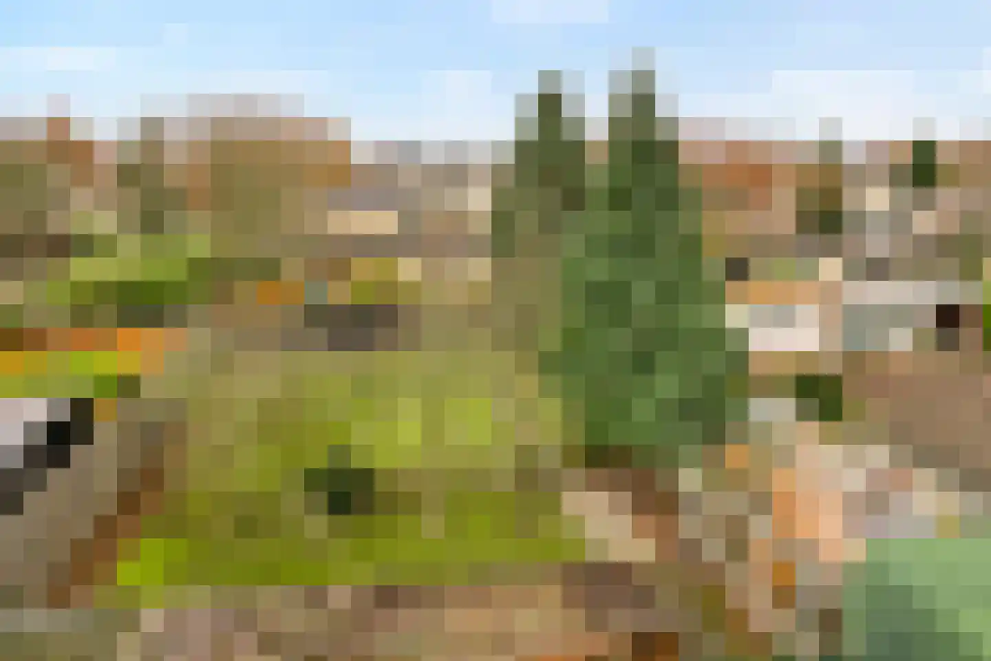 Kapelstraat-Noord 113 Veldhoven thumbnail 60