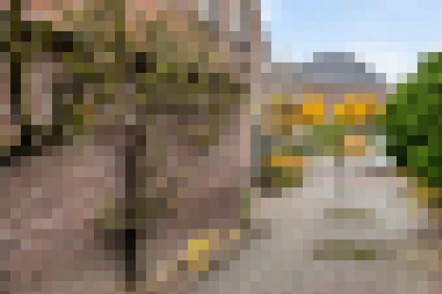 Kapelstraat-Noord 113 Veldhoven thumbnail 67