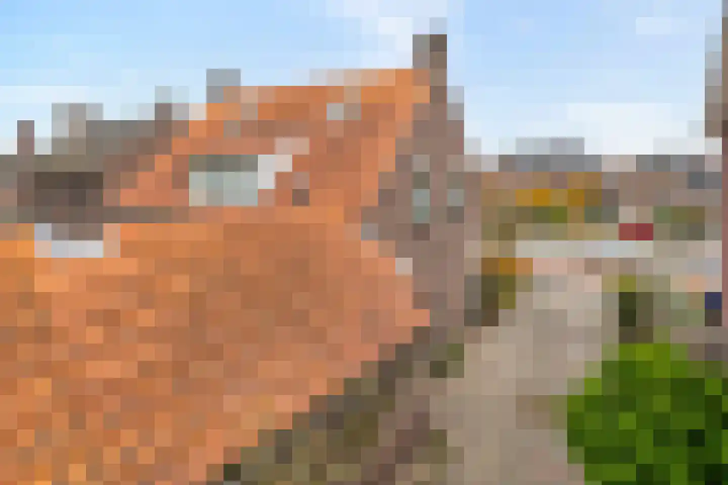 Kapelstraat-Noord 113 Veldhoven thumbnail 68