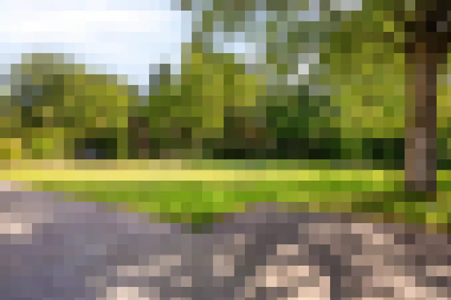 Kapelstraat-Zuid 8 Veldhoven thumbnail 5