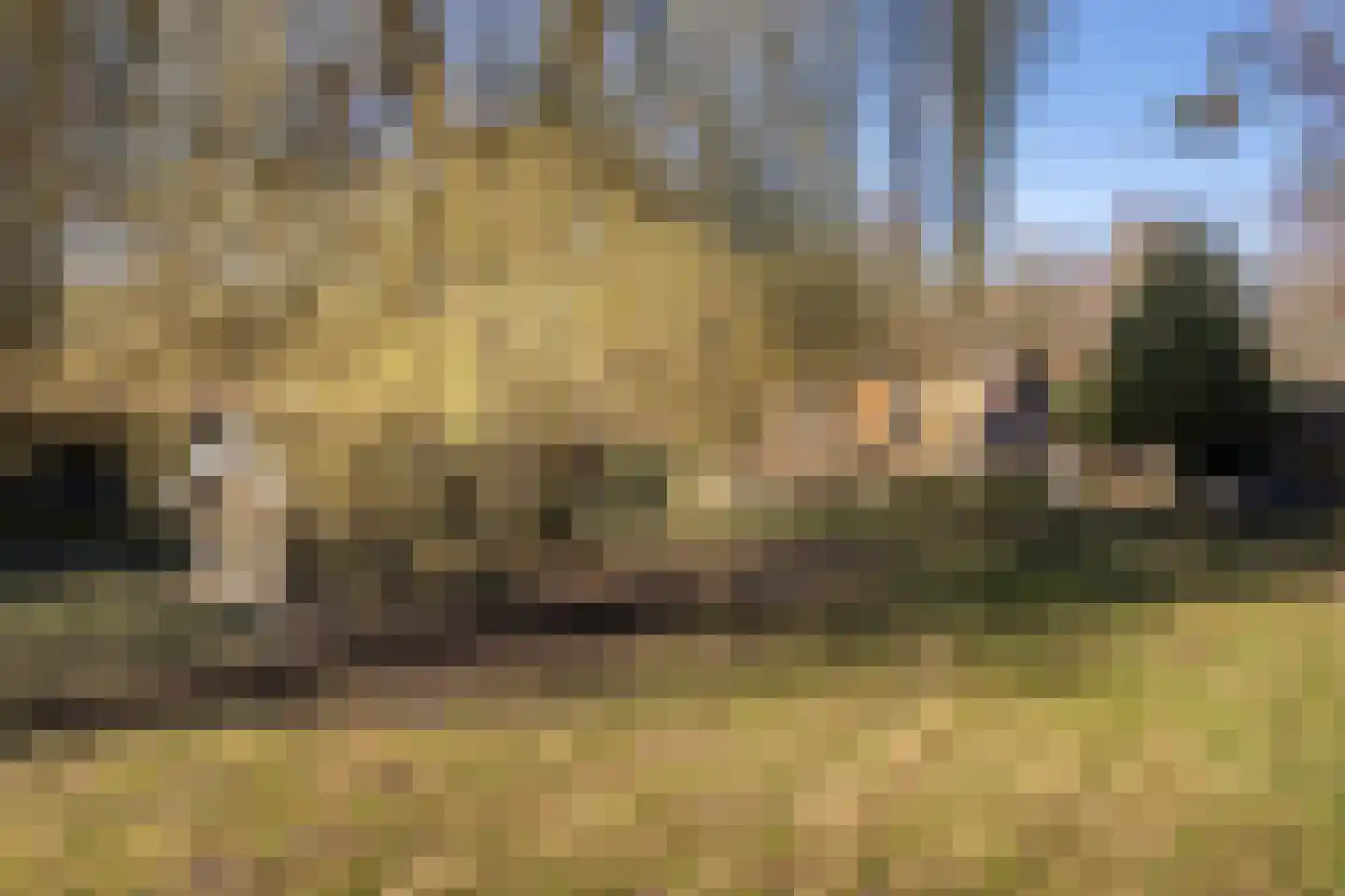 Kapelweg 10 Almen thumbnail 20