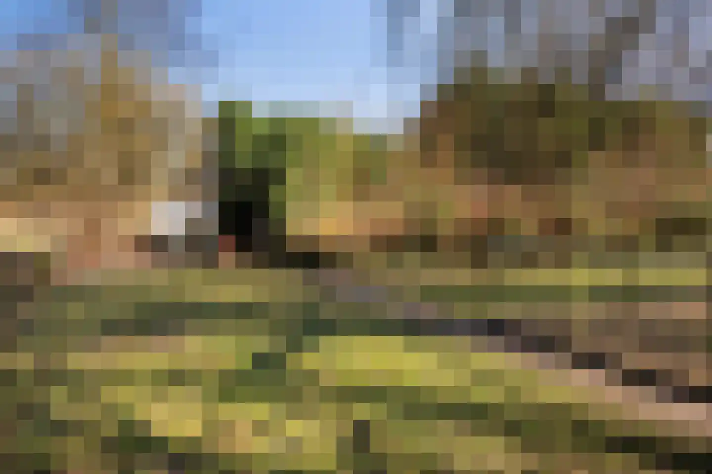 Kapelweg 10 Almen thumbnail 21