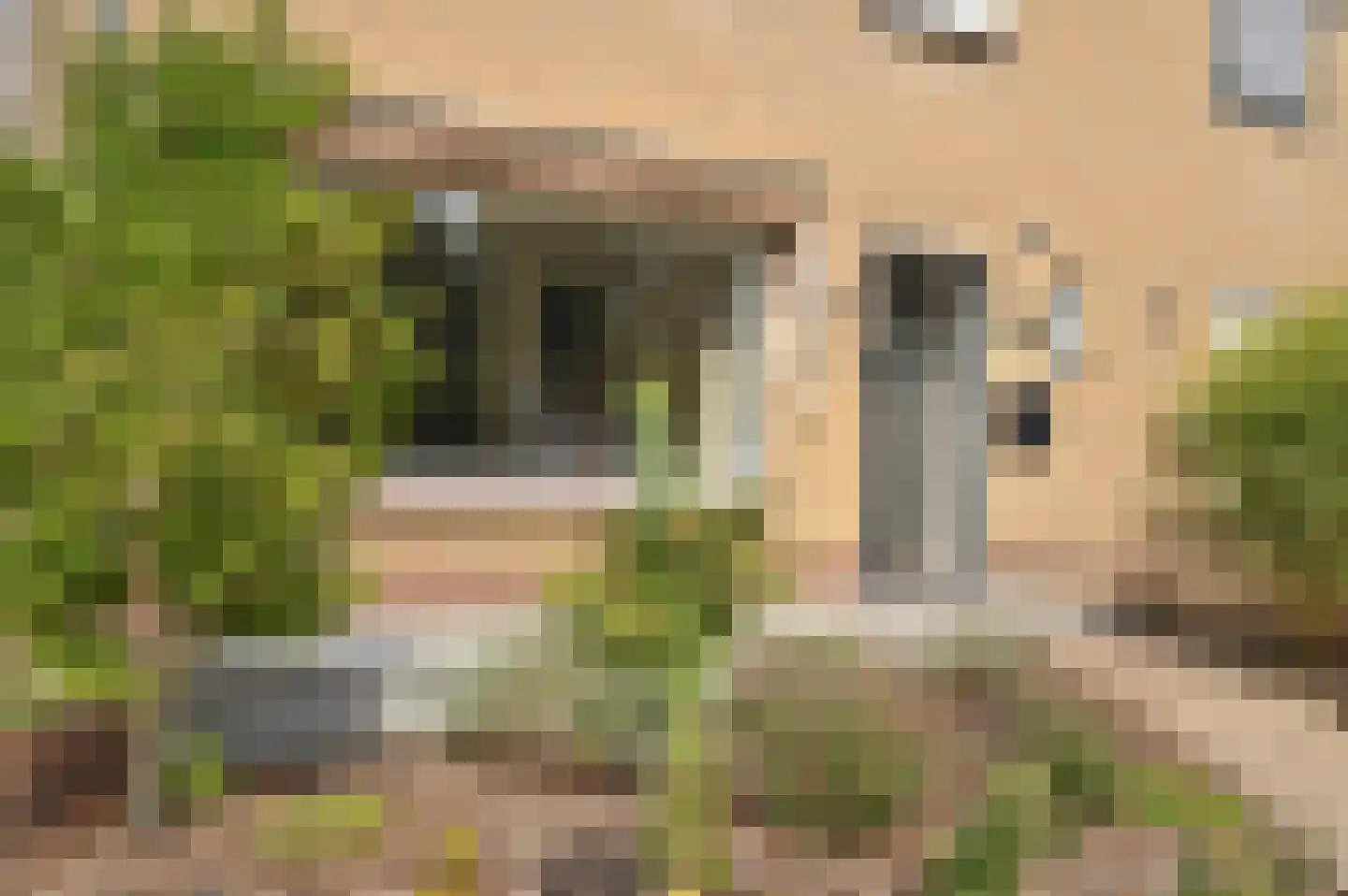 Kapelweg 10 Heerlen thumbnail 4