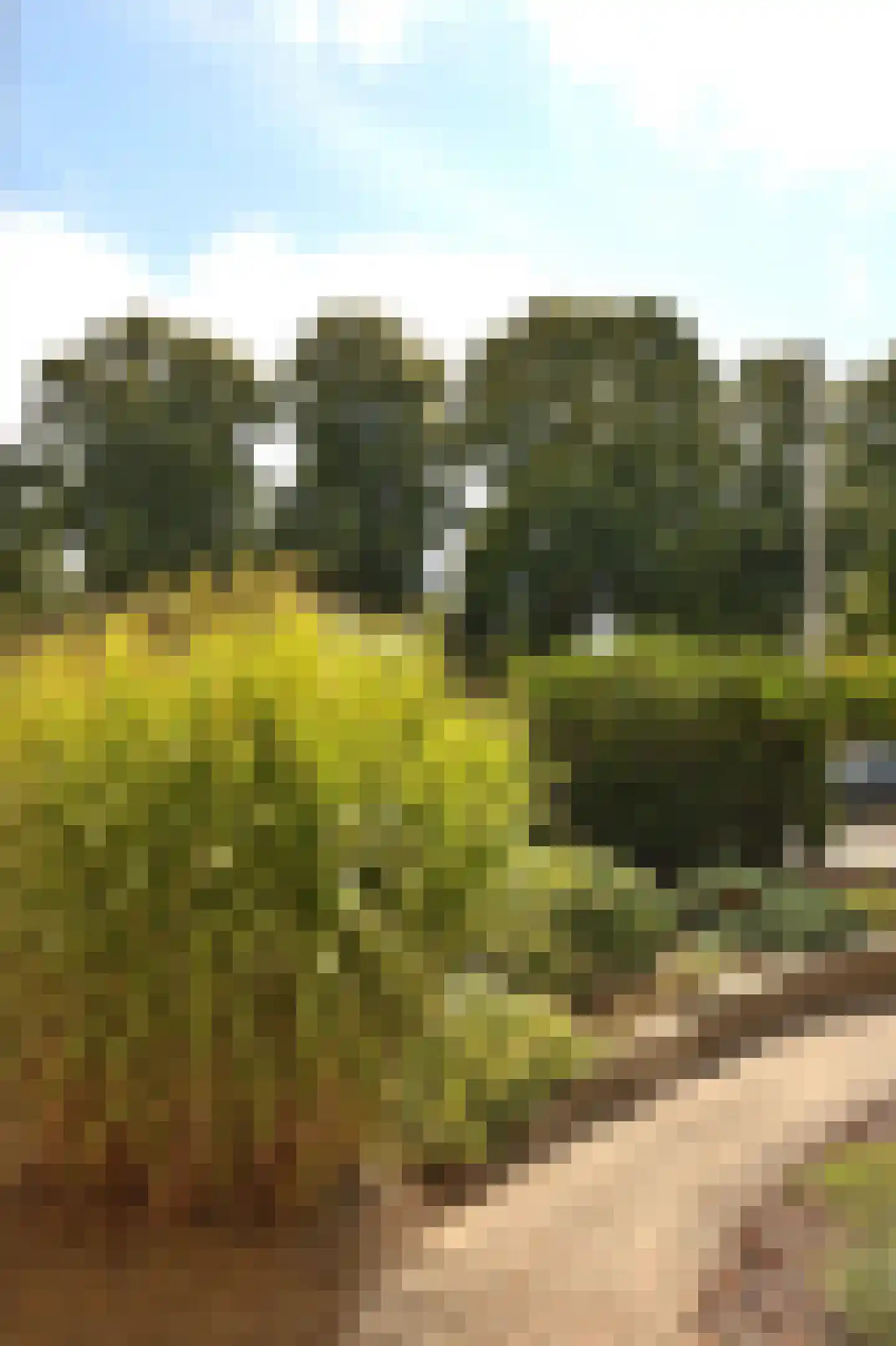 Kapelweg 10 Heerlen thumbnail 6
