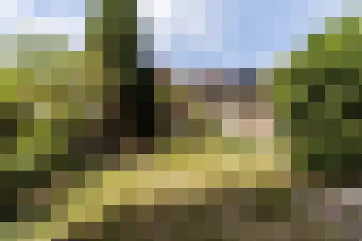Kapelweg 112 Amersfoort thumbnail 31
