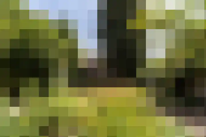 Kapelweg 112 Amersfoort thumbnail 32