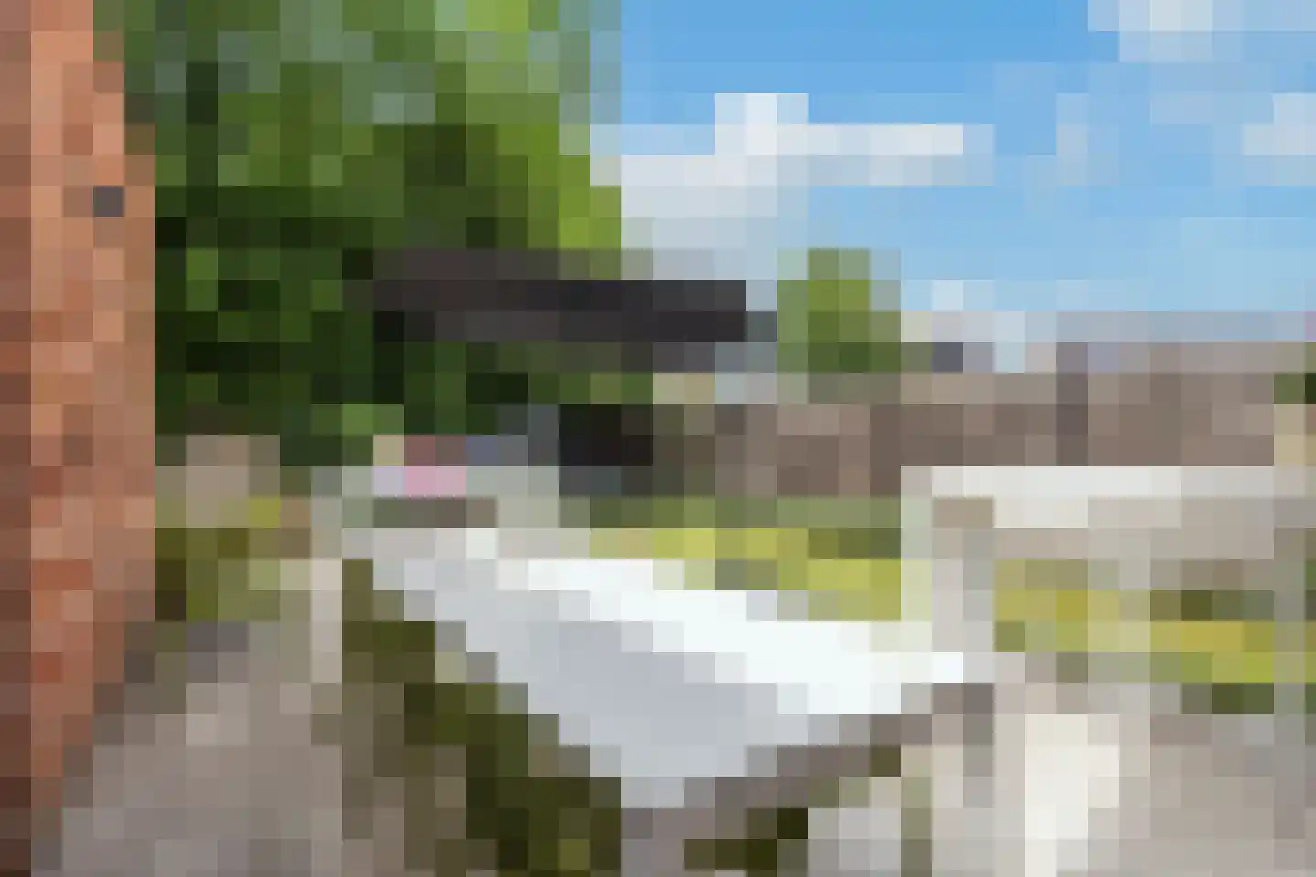 Kapelweg 122 Bergeijk thumbnail 21