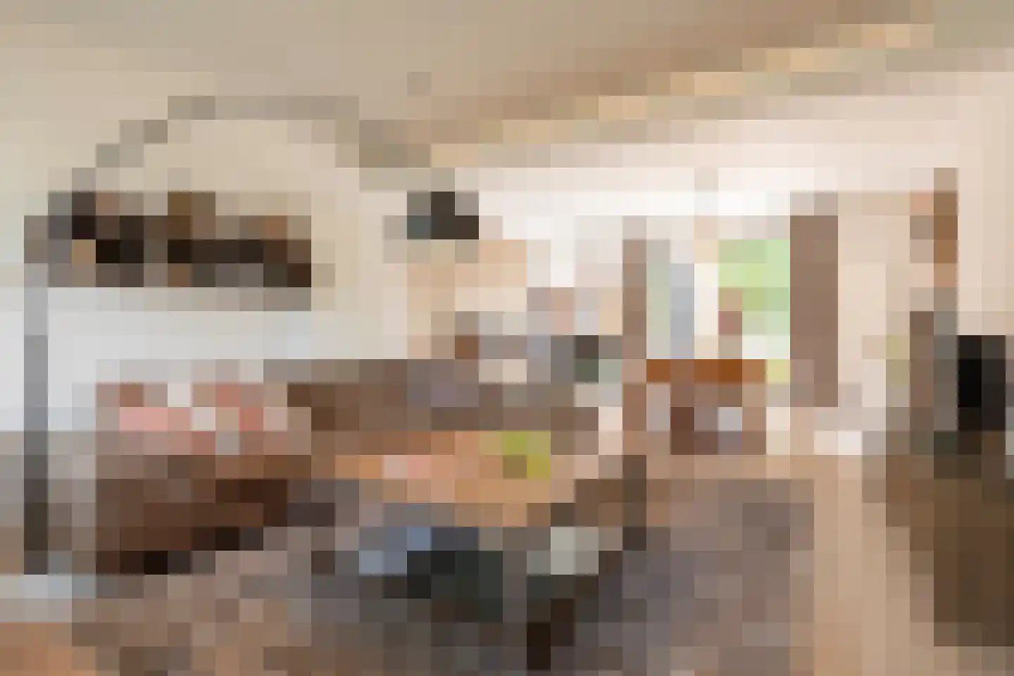 Kapelweg 122 Bergeijk thumbnail 4