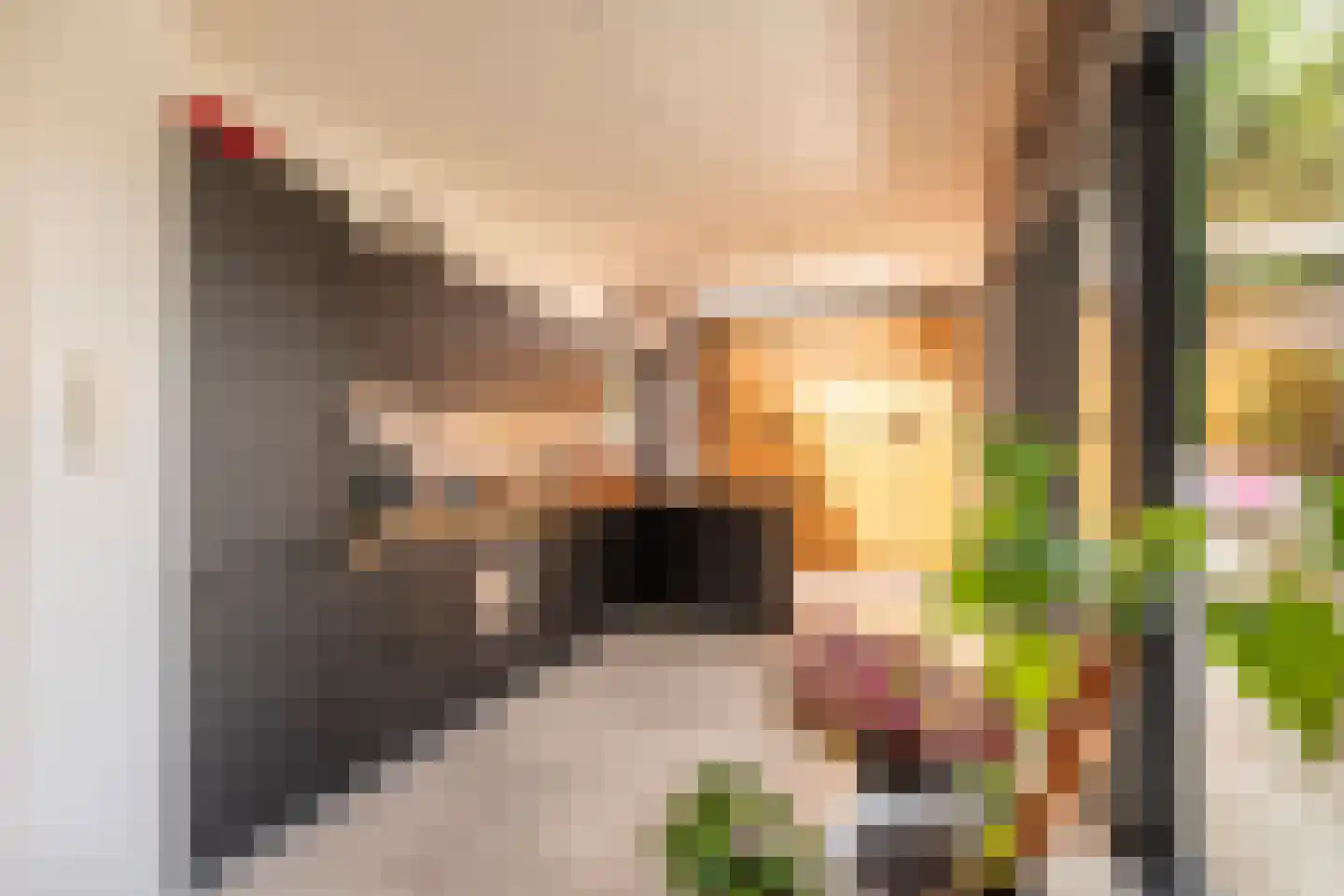 Kapelweg 122 Bergeijk thumbnail 8