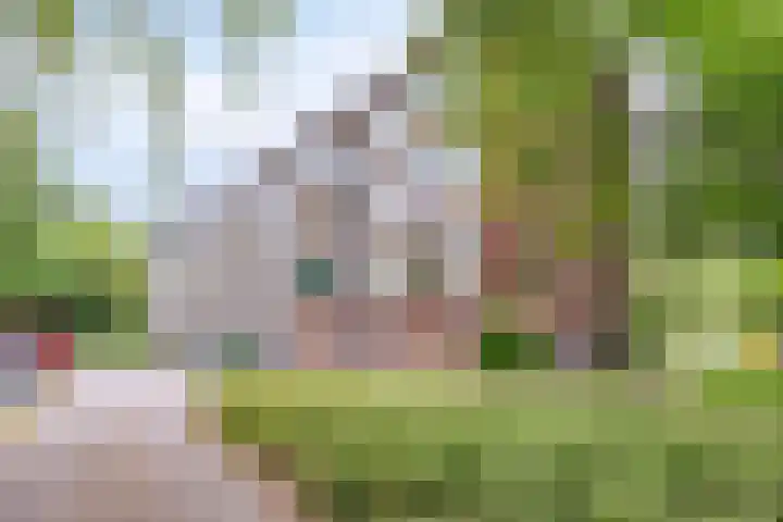 Kapelweg 125 A in Amersfoort