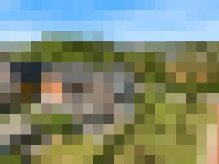 Kapelweg 13 Limmen thumbnail 4
