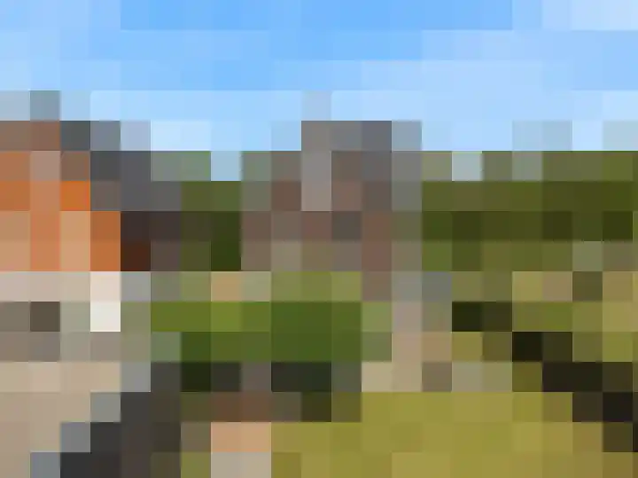 Kapelweg 13 Limmen thumbnail 53